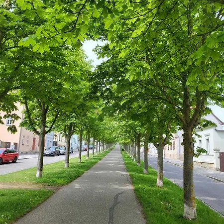 Apartment Alleeblick Ballenstedt