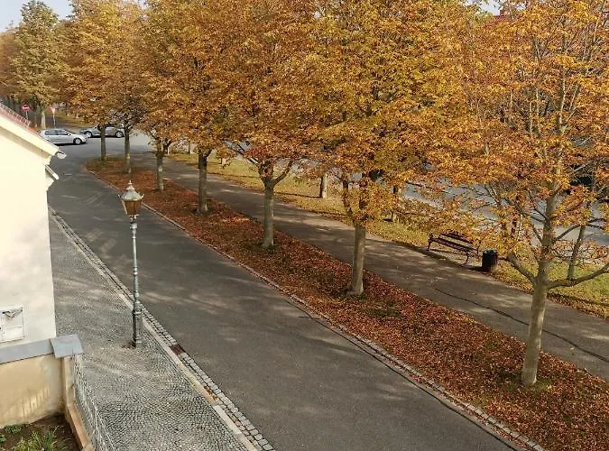 Apartamento Alleeblick *