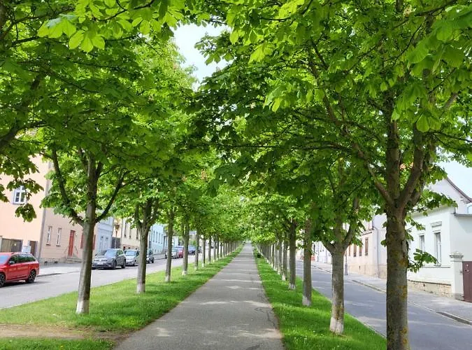 דירה Alleeblick באלנשטאדט